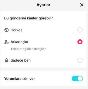 Etkileyici Görsellerle TikTok Hikayenizi Zenginleştirin